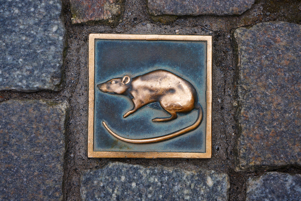 Symbol Hameln, miasta na Niemieckim Szlaku Baśniowym